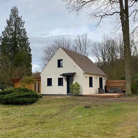 A L'ombre Des Chenes *